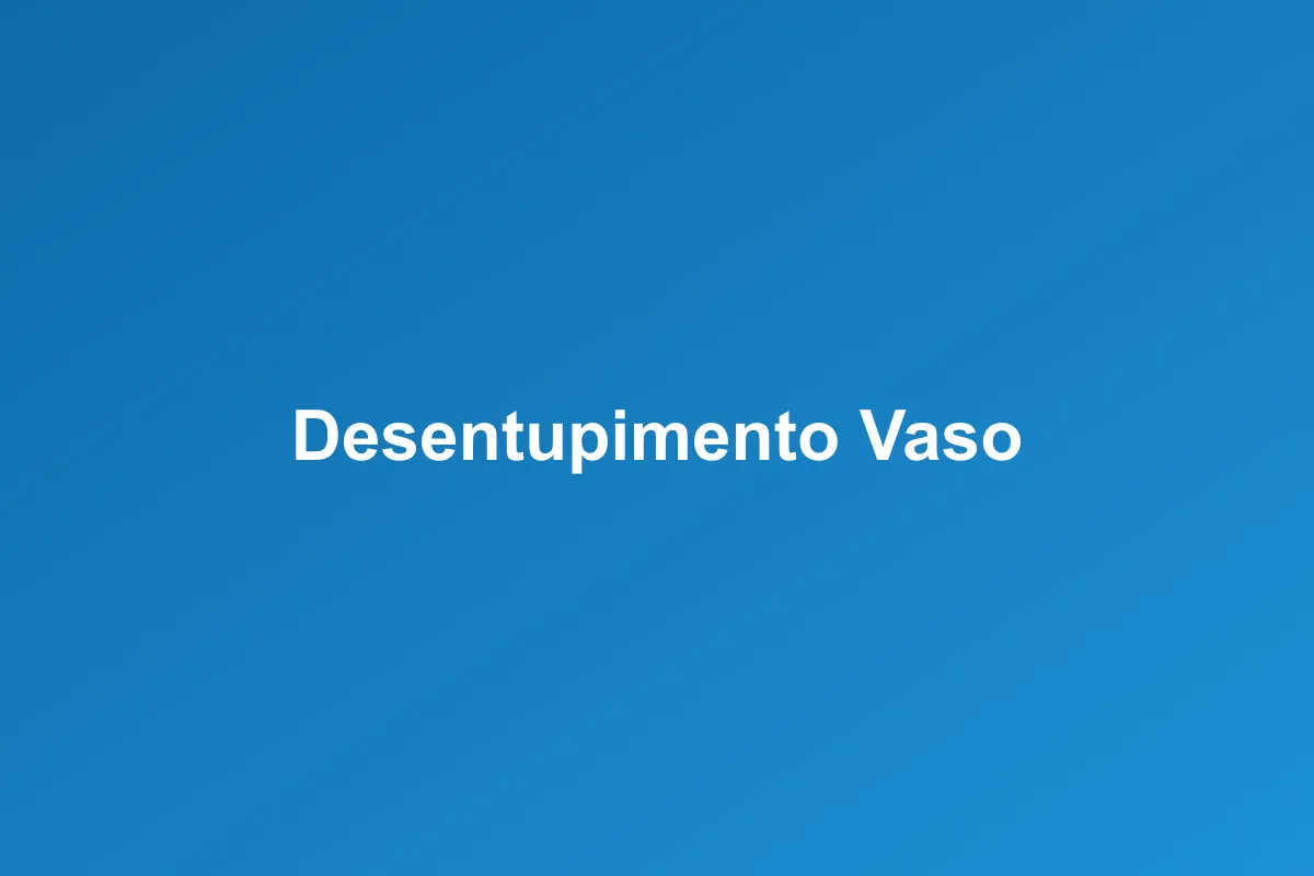 Desentupimento de vaso sanitário em Itu